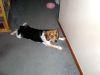 zoey2011-049.JPG