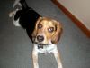 zoey2011-052.JPG