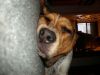 zoey2011-066.JPG
