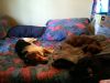 zoey2011-076.JPG
