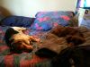 zoey2011-077.JPG