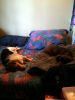 zoey2011-078.JPG