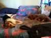 zoey2011-081.JPG