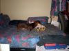 zoey2011-083.JPG