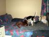 zoey2011-085.JPG