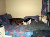 zoey2011-086.JPG