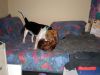 zoey2011-091.JPG