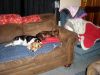 zoey2011-115.JPG