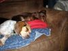 zoey2011-119.JPG