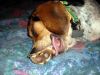 zoey2011-153.JPG