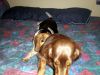 zoey2011-154.JPG