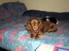 zoey2011-157.JPG