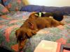 zoey2011-158.JPG