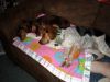 zoey2011-159.JPG