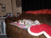 zoey2011-167.JPG