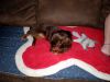 zoey2011-172.JPG