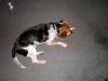 zoey2011-198.JPG