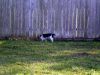 zoey2011-213.JPG