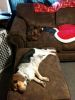 zoey2011-234.JPG