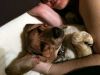 zoey2011-248.JPG