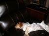 zoey2011-271.JPG