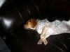 zoey2011-272.JPG