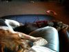 zoey2011-277.JPG