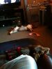 zoey2011-279.JPG