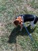 zoey2011-282.JPG