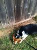 zoey2011-284.JPG
