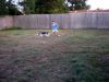 Filename=zoey2011-292.JPG
Filesize=73KiB
Dimensions=800x600
Date added=Jul 20, 2011 zoey2011-292.JPG
