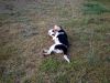 zoey2011-296.JPG