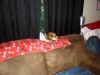 zoey2011-320.JPG
