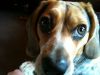 zoey2011-323.JPG