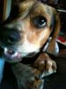 zoey2011-337.JPG