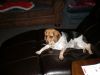 zoey2011-341.JPG