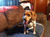 zoey2011-345.JPG
