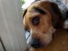zoey2011-375.JPG