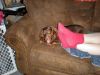 zoey2011-391.JPG