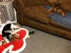 zoey2011-396.JPG