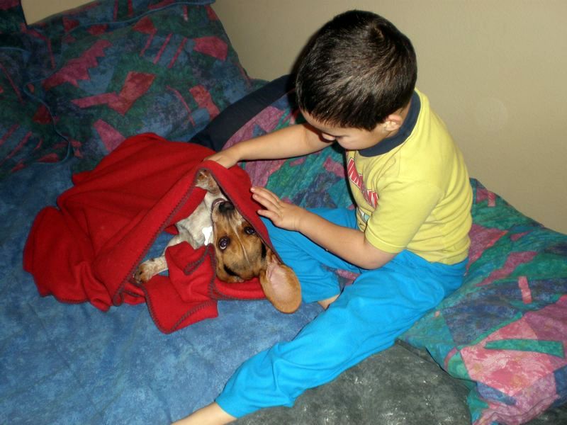 zoey2011-017.JPG