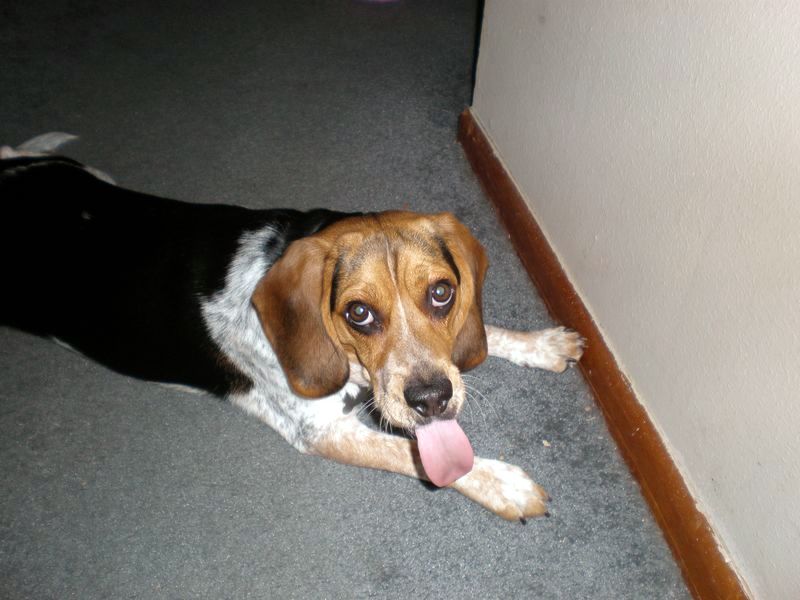 zoey2011-050.JPG