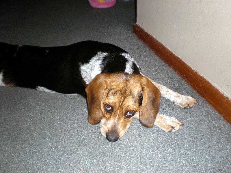 zoey2011-051.JPG