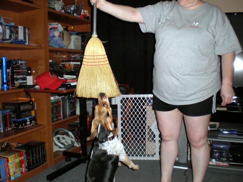 zoey2011-063.JPG