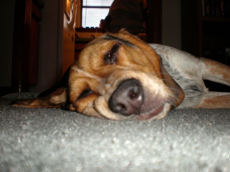 zoey2011-067.JPG