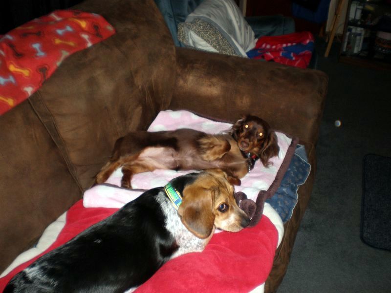 zoey2011-074.JPG