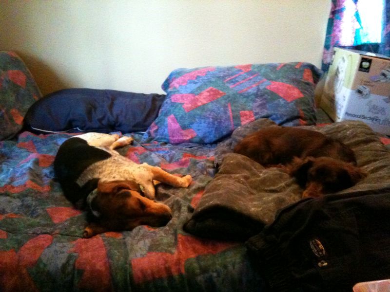zoey2011-076.JPG