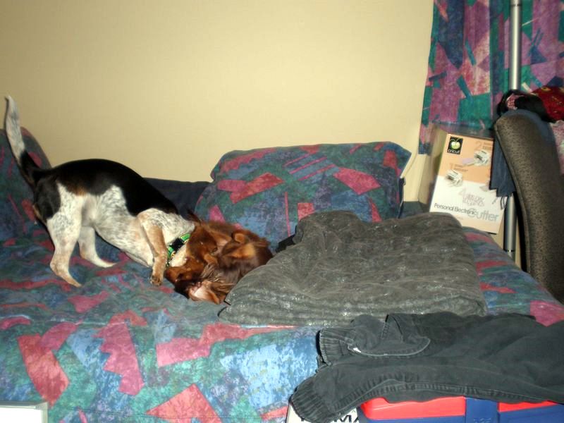 zoey2011-093.JPG