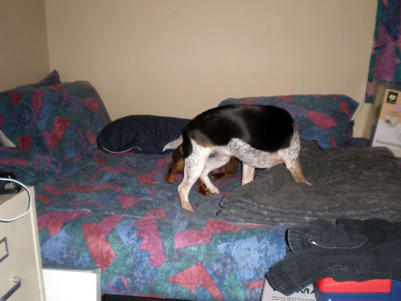 zoey2011-095.JPG