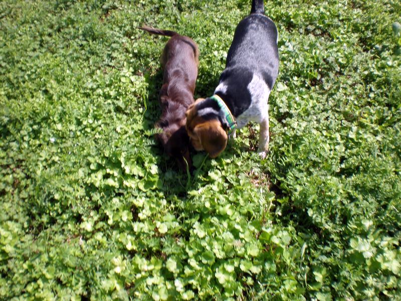 zoey2011-099.JPG